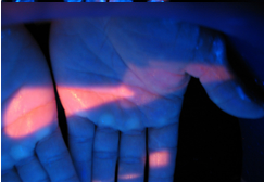 LOGICSEPT - Highly Effective Hand Sanitizer